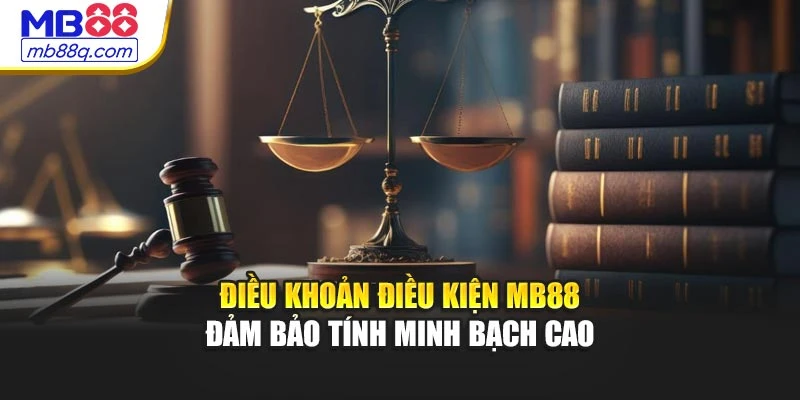 Điều khoản điều kiện MB88 đảm bảo cơ chế minh bạch cao