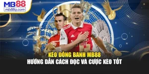 Kèo Đồng Banh MB88 - Hướng Dẫn Cách Đọc Và Cược Kèo Tốt