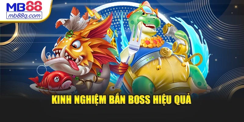 Kinh nghiệm bắn boss hiệu quả